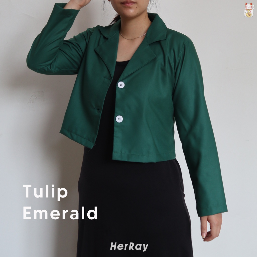 Tulip Crop Outer