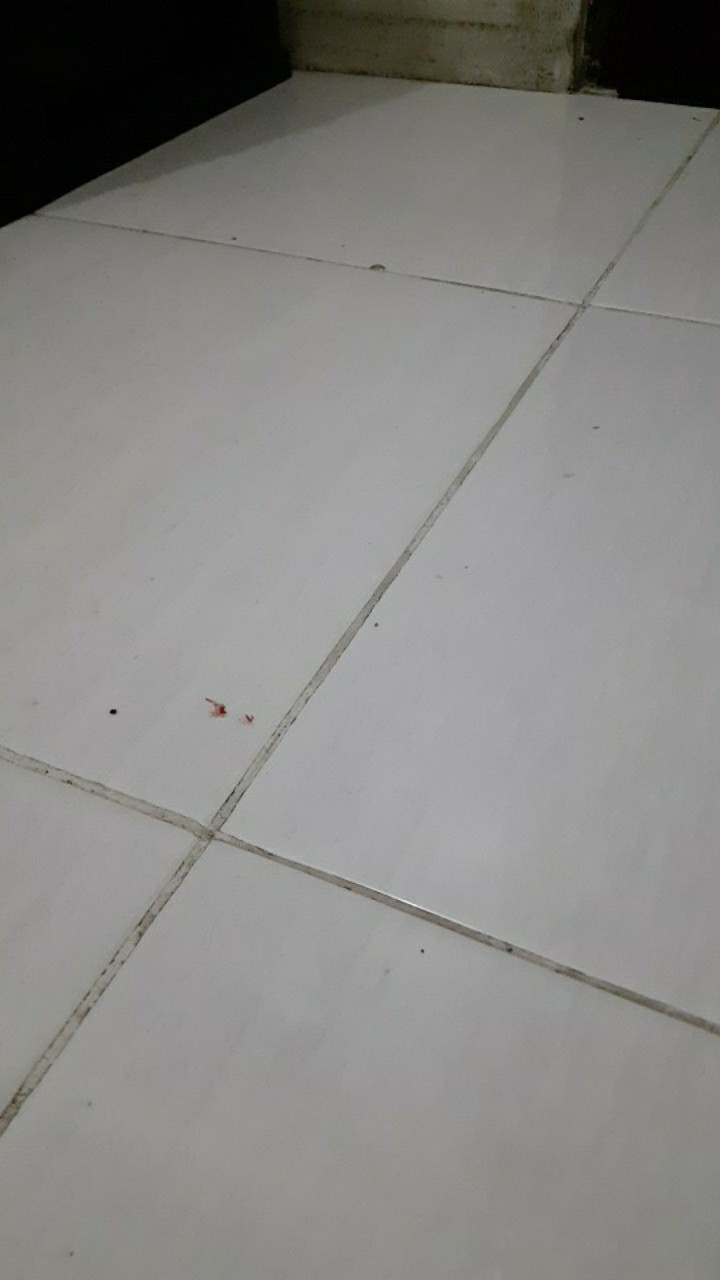 Jktumbrella - Payung Terbalik / Mobil / Kazbrella / Reversible - Motif Bunga