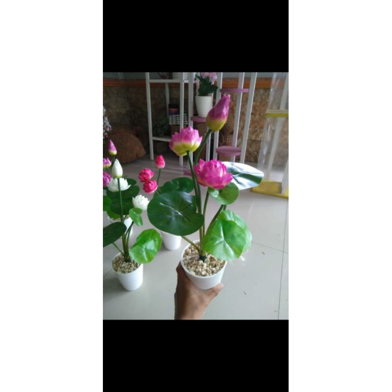 

bunga