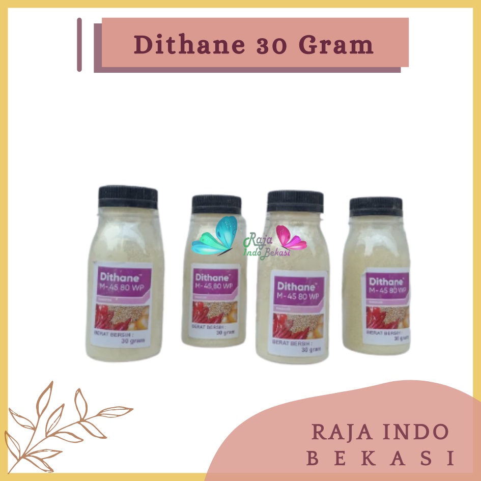 Rajaindobekasi Dithane M 45 80wp Botol 30 Gram Wp Fungsida Tanaman Kemasan Botol 30 Gram Warna Kuning  Pupuk Dithane M-45 80wp 200gr Fungisida Pengendali Hama Jamur Pada Daun Dithane M 45 80wp 1 Kg