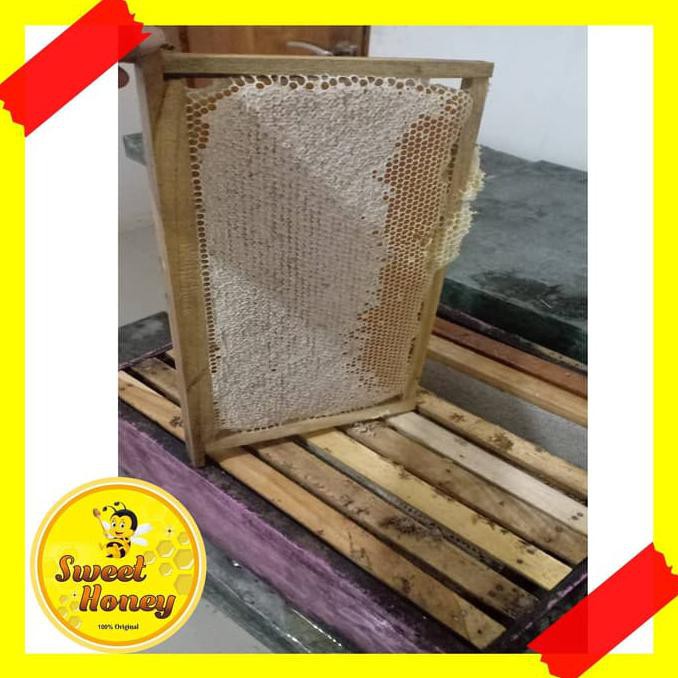 

Best Product Sarang Madu Melifera Kemasan Berat Bersih 500 Gr Kualitas Super Buruan