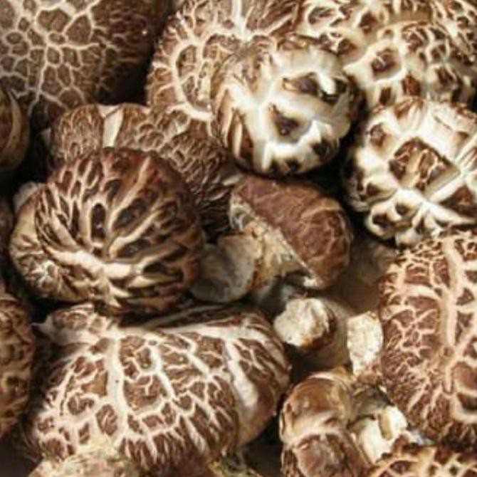 

Cuci Gudang Awal Tahun Jamur Shitake Kering 100gr - Jamur Hioko Kering 100 gr - Jamur Kering Promo