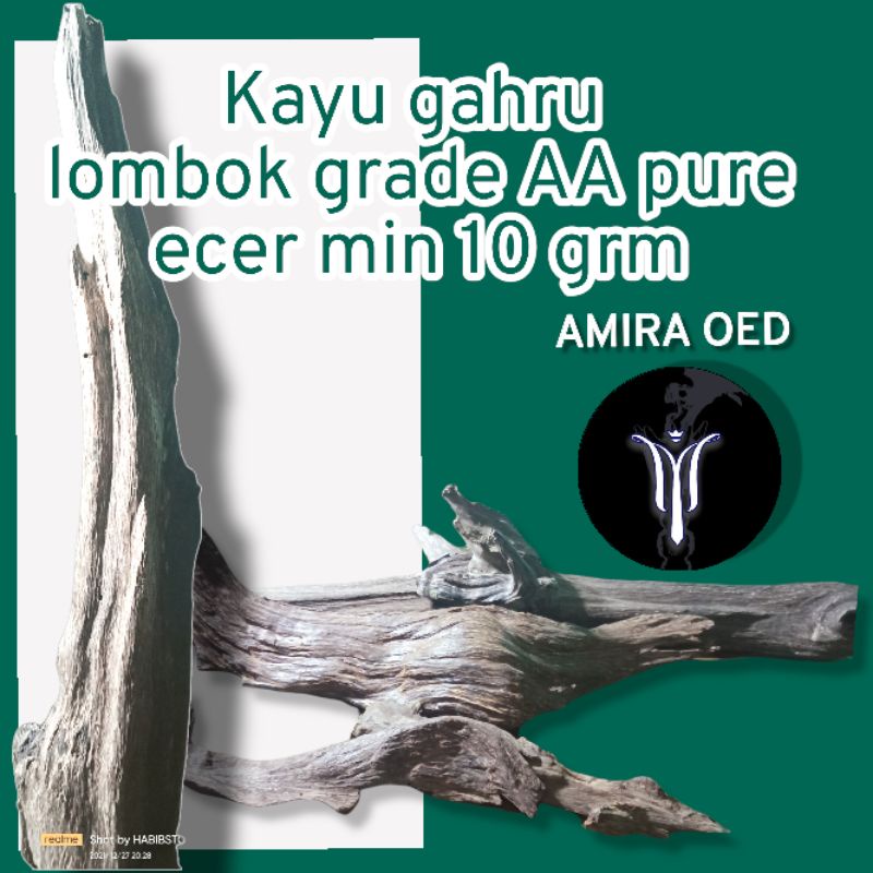 kayu gahru original lombok grade AA+ terbaik