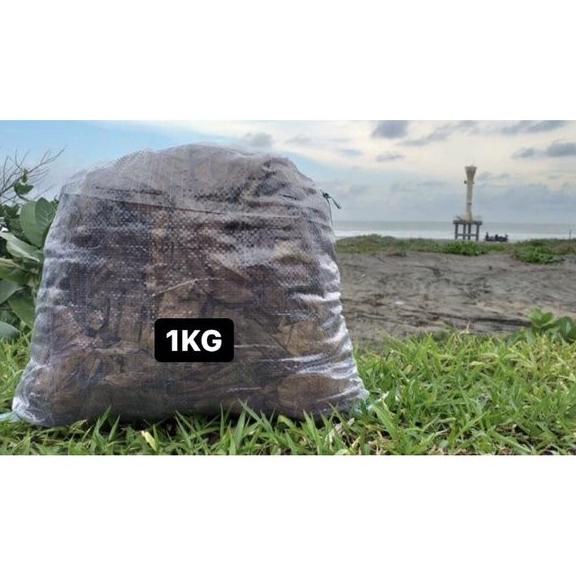 

DISKON ! DAUN KETAPANG LAUT OLAHAN 1KG KUALITAS EKSPOR TANPA MINYAK SIAP PAKAI