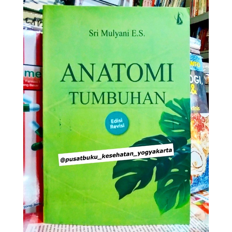 Jual Anatomi Tumbuhan Edisi Revisi - Sri Mulyani | Shopee Indonesia