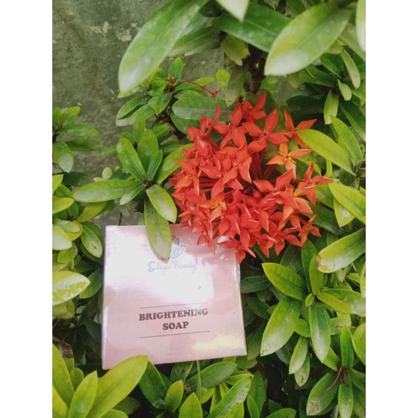 sabun elizabeauty original bpom