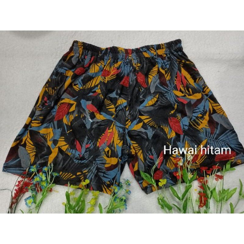 boxer hawai