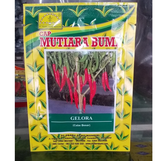 Benih Cabe Gelora 10 gr