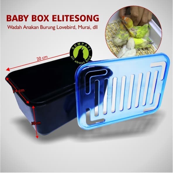 BABY BOX WADAH UNTUK ANAKAN BURUNG LOVEBIRD MURAI KENARI KACER DLL