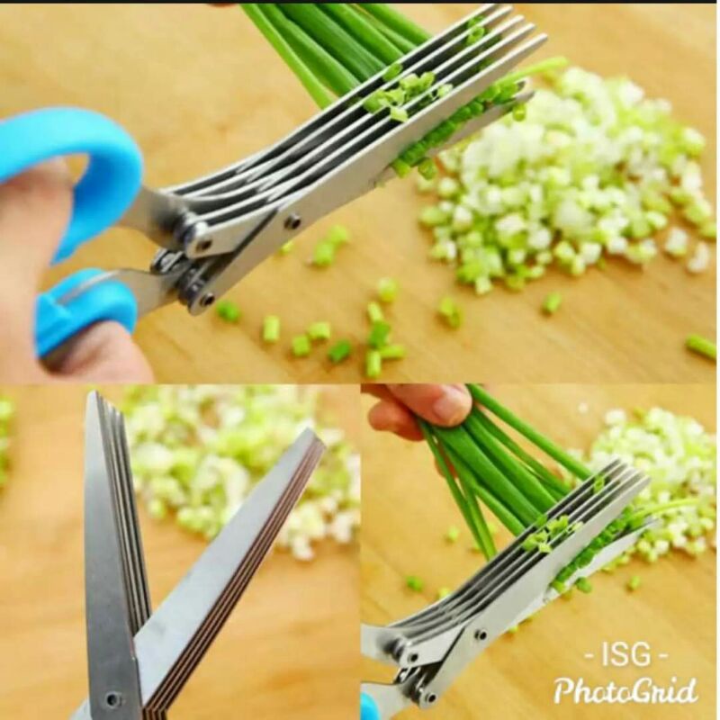 

gunting dapur 5 lapis serbaguna/gunting sayur daun bawang multifungsi murah