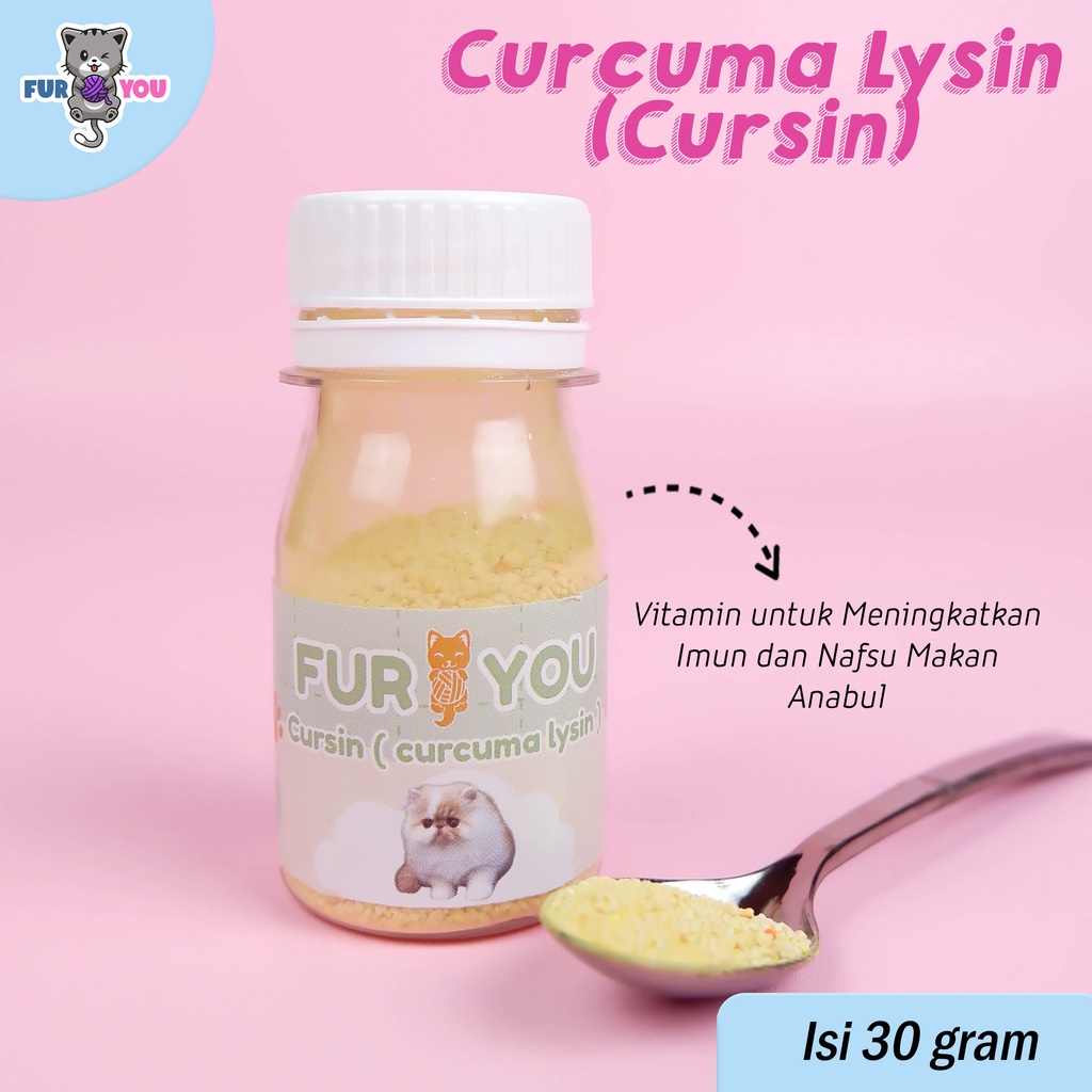 Curcuma Lysin Cursin Vitamin Penambah Nafsu Makan dan Penambah Imun Kucing Lysine