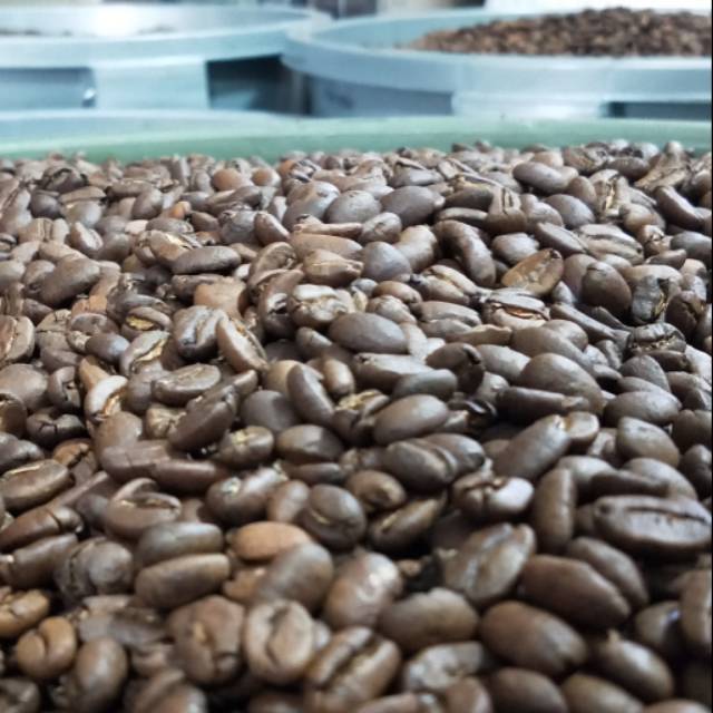 

Kopi arabica gayo aceh