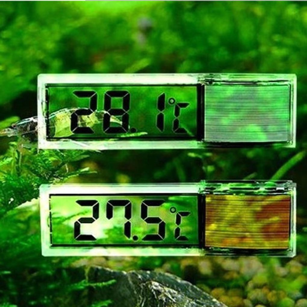 Termometer Lcd Digital Elektronik 3d Multifungsi Untuk Mengukur Suhu Akuarium