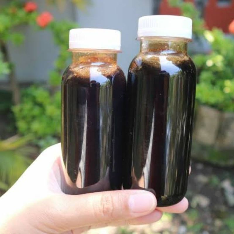 

madu klanceng asli