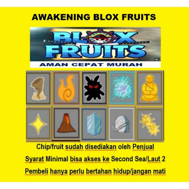 Blox fruit awakening