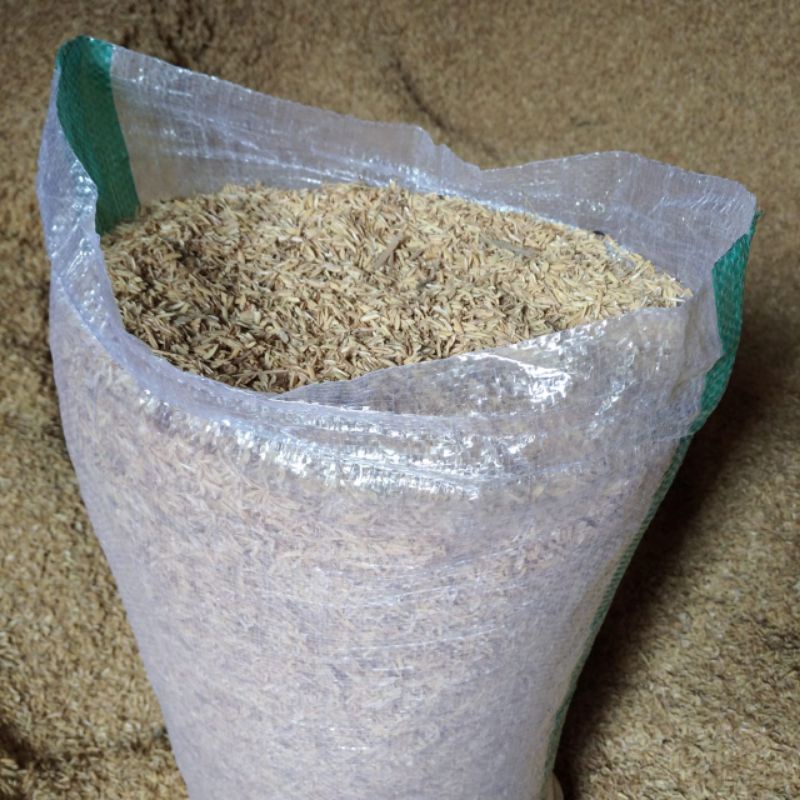 sekam padi mentah (merang)