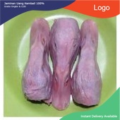 

kepala bebek 500 gram Fresh Frozen