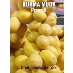 

Kurma muda Promil (program hamil) 250gr