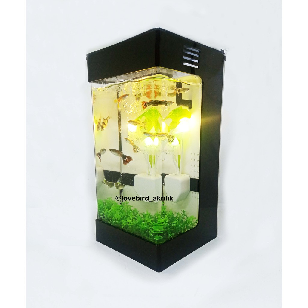  Aquarium  Unik Aquarium  mini  Aquarium  Plus lampu  tidur 