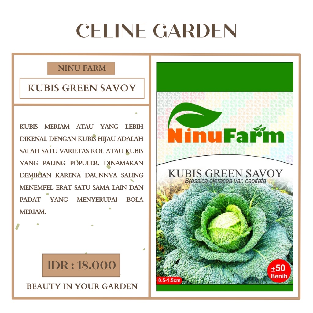BIBIT KUBIS HIJAU / BIBIT KUBIS GREEN SAVOY / KUBIS HIJAU / NINU FARM / KEMASAN ASLI PABRIK