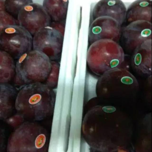 

BUAH PLUM