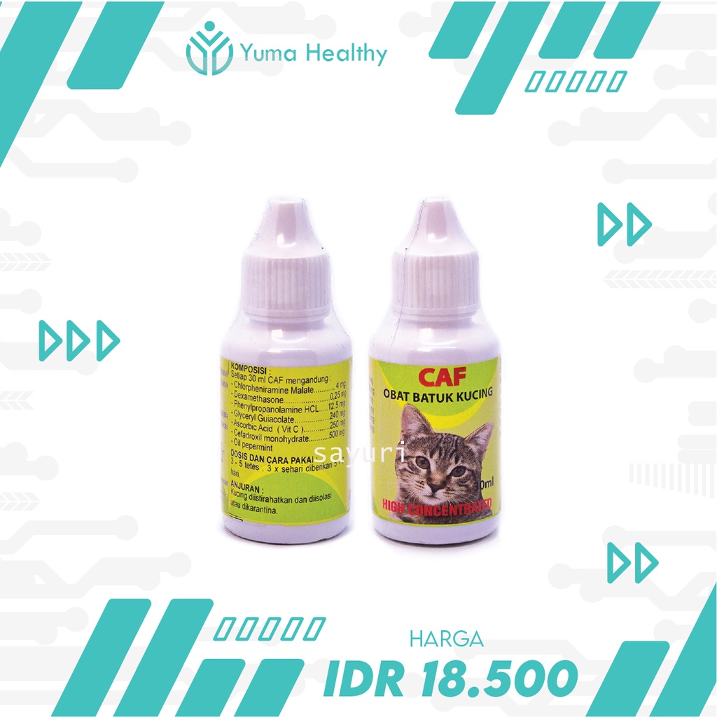 Obat Batuk Flu Bersin Kucing CAF