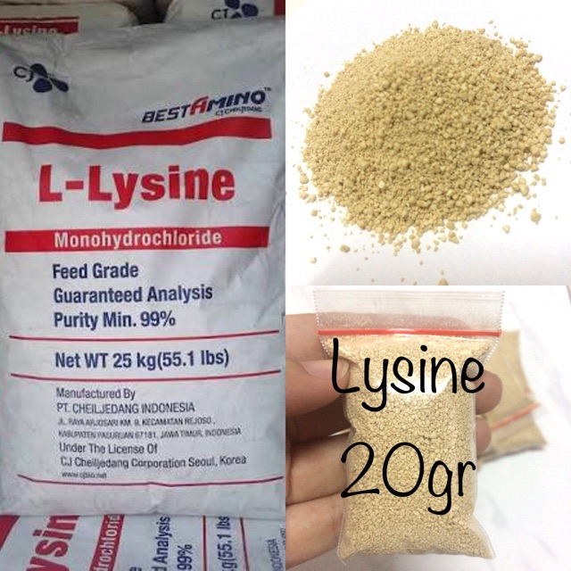 10 Gratis 1 Lysine Kesehatan Kucing Anjing Kelinci Peliharaan