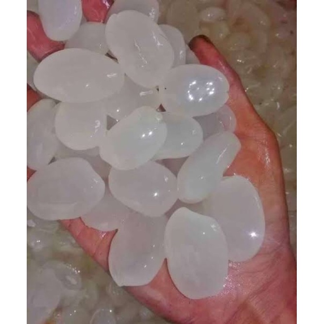 

Kolang Kaling Segar 1 kg