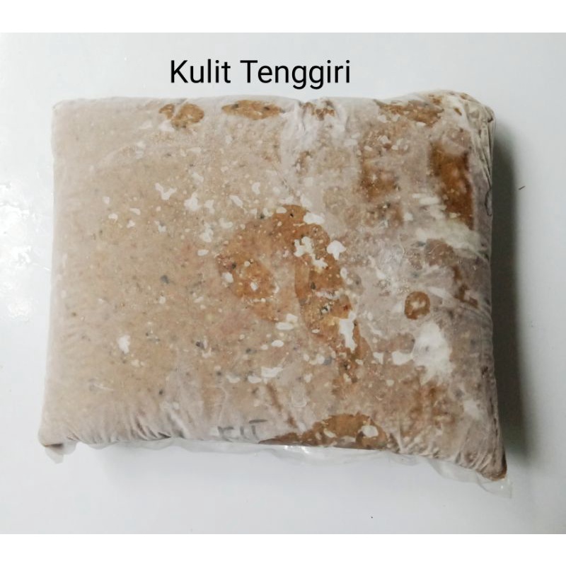

kulit tenggiri