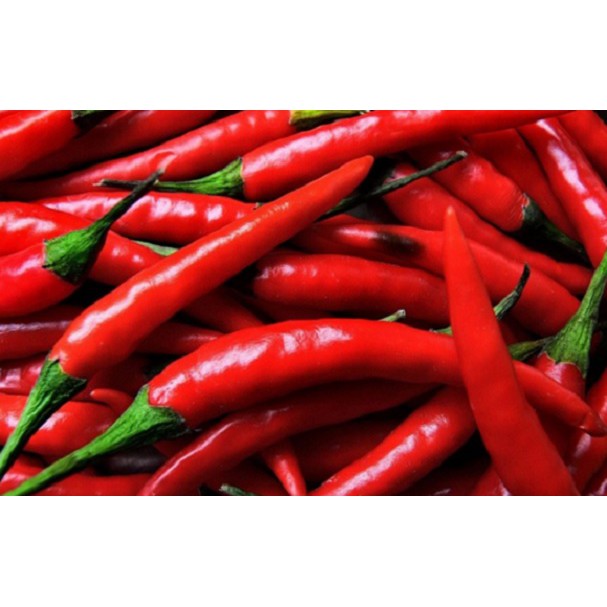 

TERMURAH Cabe Merah Besar @500 GRM