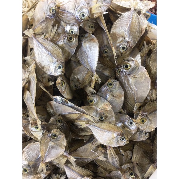

Ikan maco/ karasak