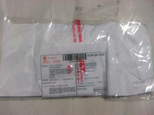 Biji/benih/bibit Tanaman Kopi  (7 Biji)