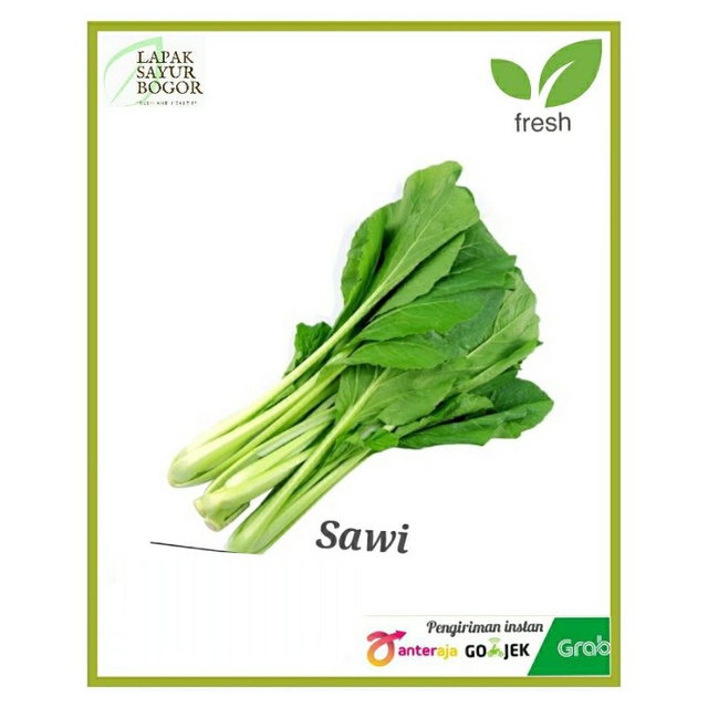 

sawi hijou caisin sayur