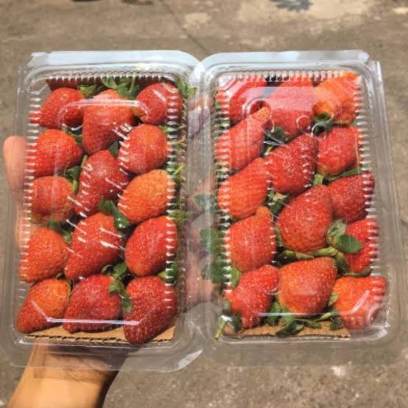 

strawberrysegar