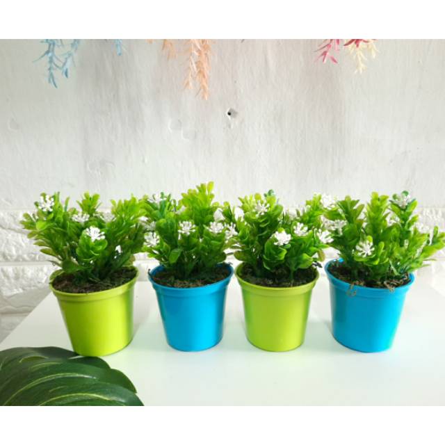 BUNGA SOKA MINI MINI ( BUNGA + VAS ) Bunga mini bunga hias