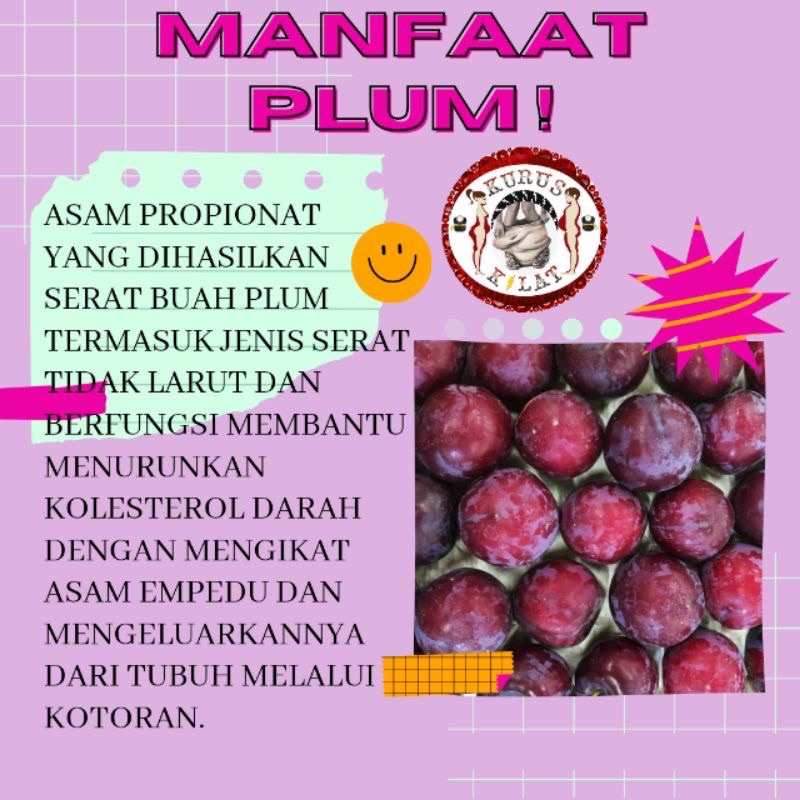 KURUS KILAT DRIED PLUM Penurun Berat Badan Pelangsing Diet Detox Perut Buncit Ampuh No Herballife