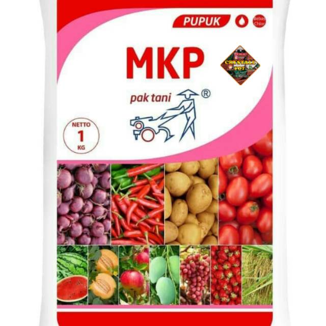 Pupuk mkp (mono kalium posphate) - mempercepat pembuahan dan mecegah kerontokan