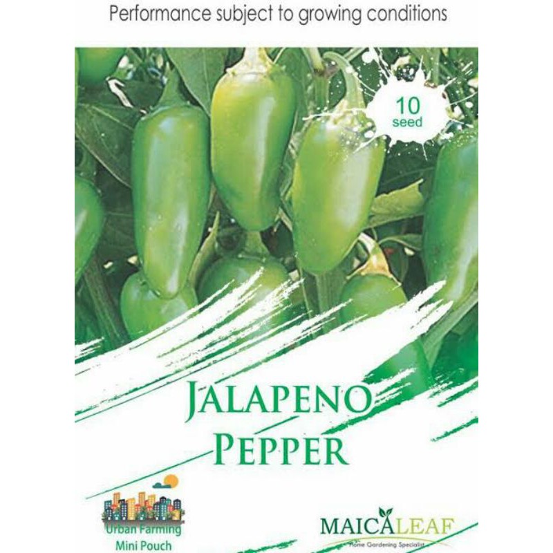 

JALAPENO PEPPER isi 10 biji