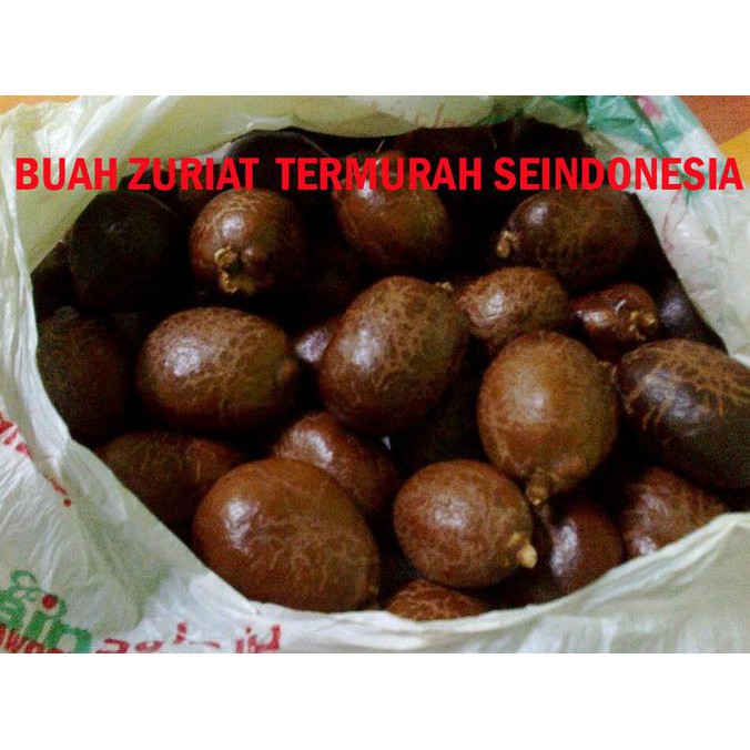 

ENAK BUAH ZURIAT IMPORT TERMURAH PAKET 2-3 BANYAK RASA