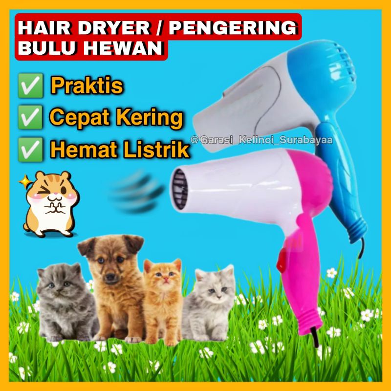 GPSS- Hair Dryer Kucing Anjing Kelinci Musang Hair Dryer Grooming Hewan Hair Dryer Pengering Rambut Pengering Bulu Kucing Hairdryer Kucing Hair Dryer Anjing Shampoo Kucing Shampoo Anjing Anti Kutu Handuk Kucing Handuk Anjing Sisir Kucing Sisir Anjing