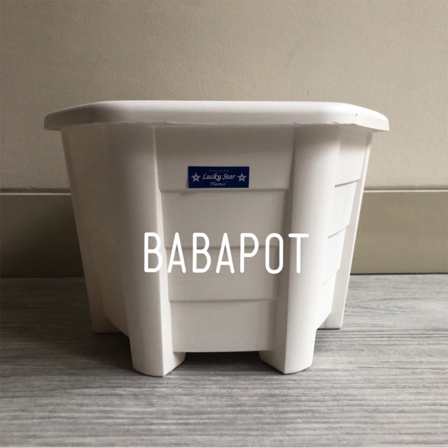 Pot bunga segi 6 CAMELIA minimalis lucky star - PUTIH