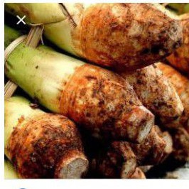 

Ubi talas harga 1pcs