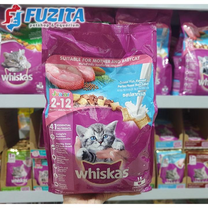Whiskas Junior Ocean Fish 1.1KG / Dry Kitten Mother Baby Cat Food / Makanan Kering Kucing