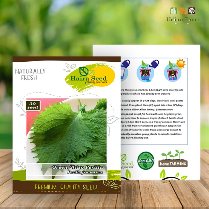 Benih-Bibit Shiso Perilla Green (Haira Seed)