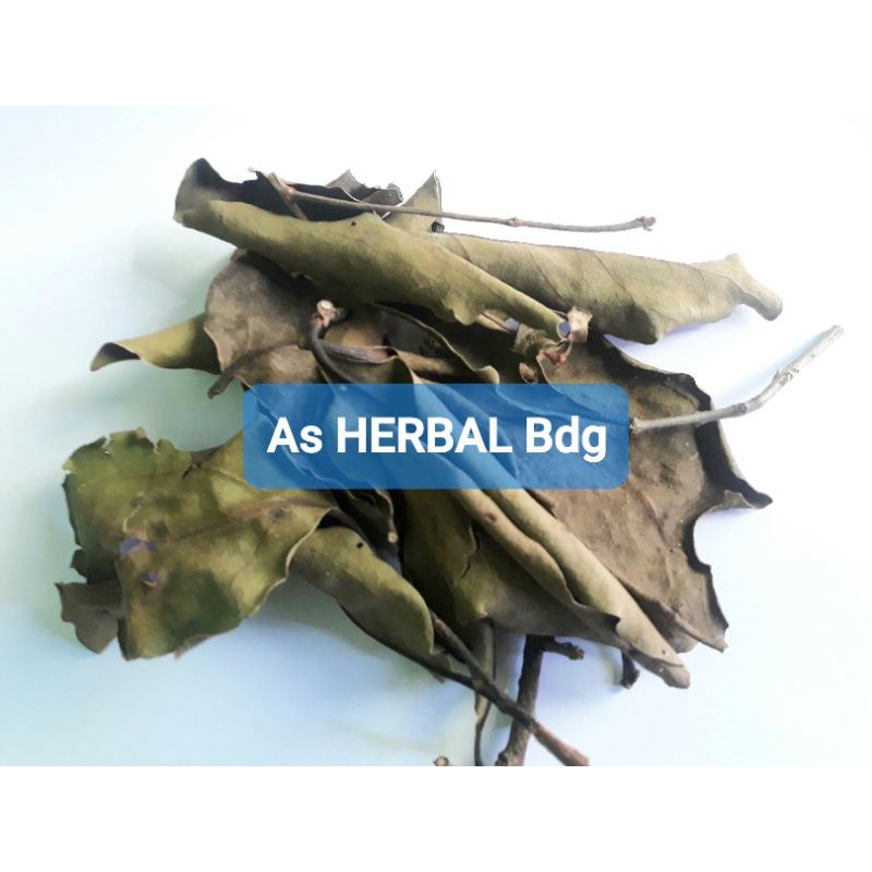 

Paket 500 gram benalu jeruk nipis kering asli-az