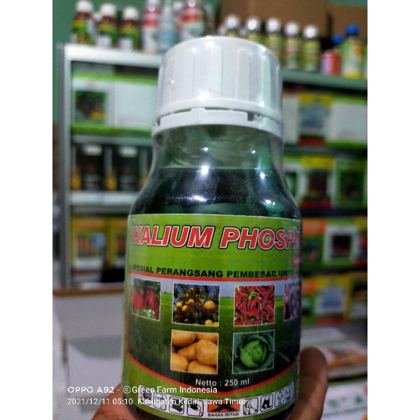 Kalium Phospat Pupuk Cair Tinggi Kalium Pembesar Umbi dan Buah Nutrisi Tanaman Kemasan 250ml