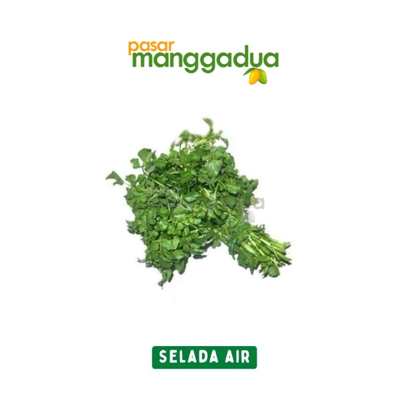 Selada Air Per Ikat / Produk Musiman