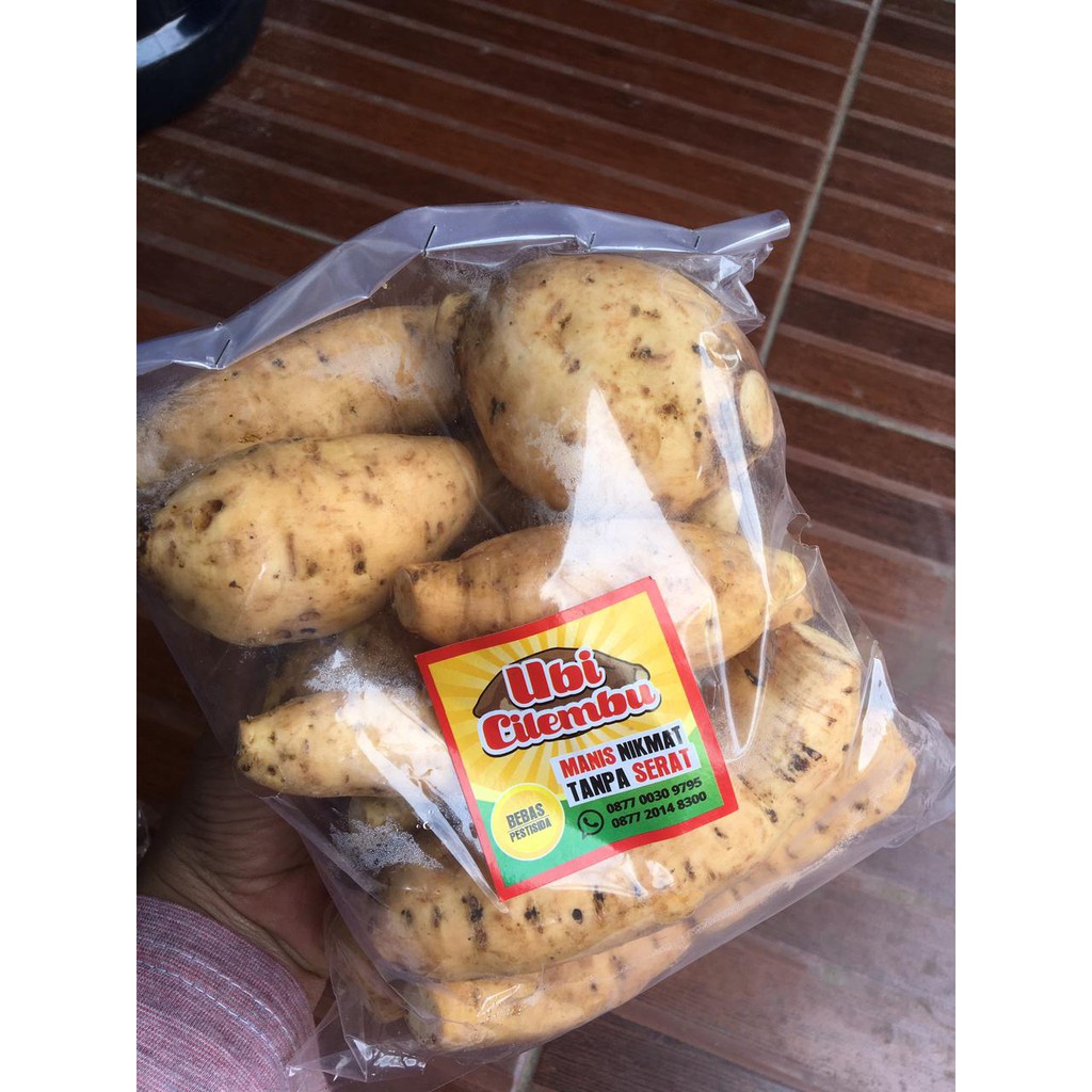 

Ubi Cilembu 1 kg