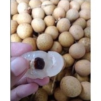 

BUAH LENGKENG 1000gram