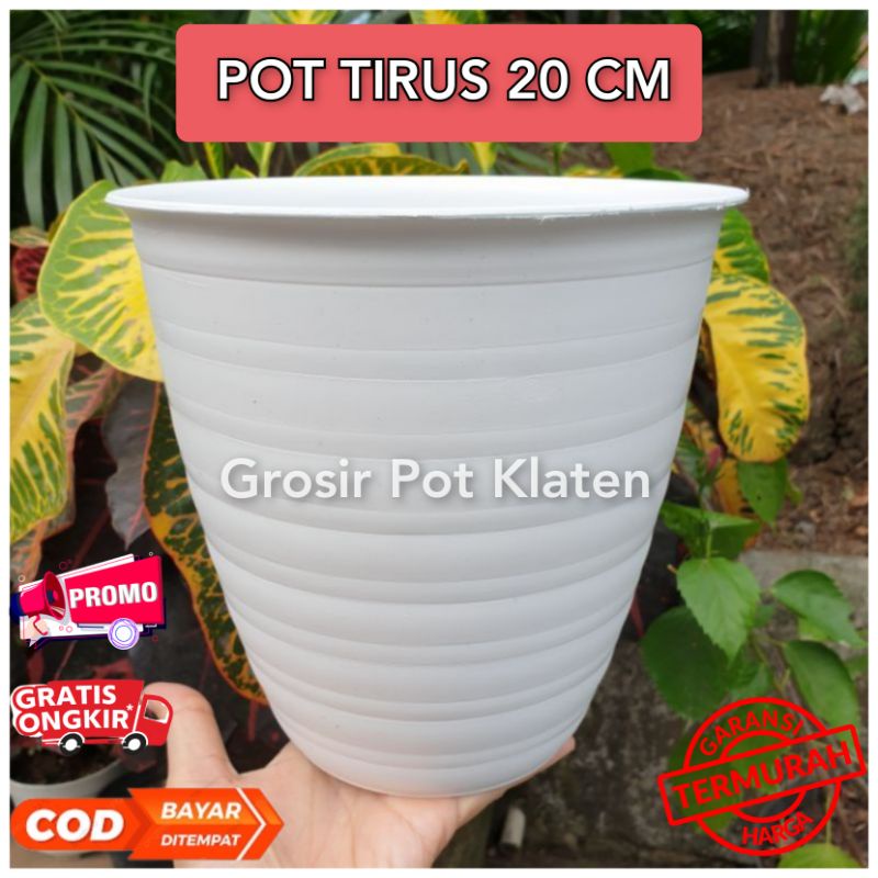 Pot Bunga Putih Model Tawon Pirus Tirus 20 Diameter 20 cm Pot Tawon Tirus Murah Harga Grosir